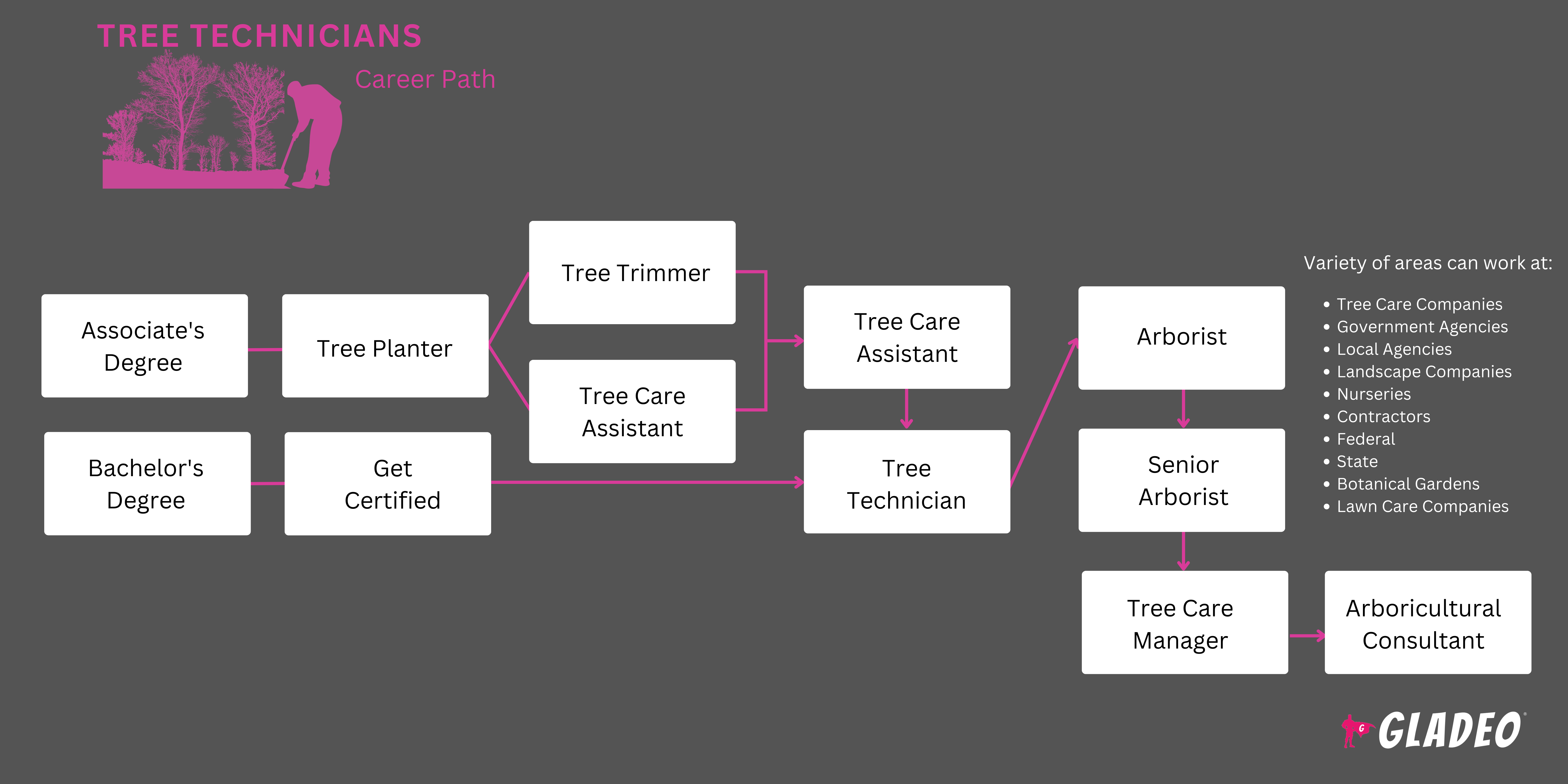 Tree Technician Roadmap
